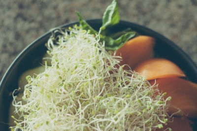 Sprout salad
