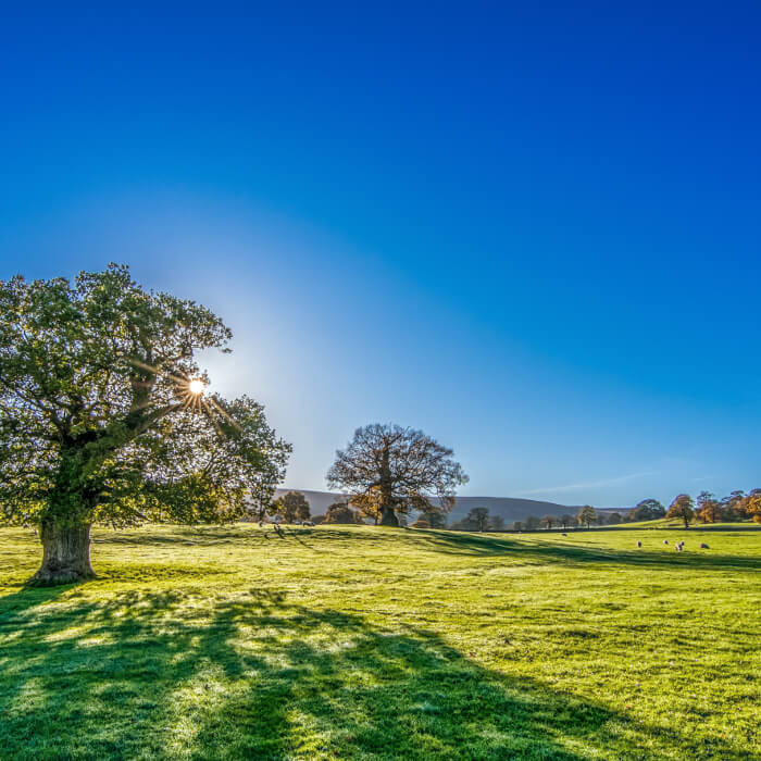 Farm pasture with a beautiful blue sky