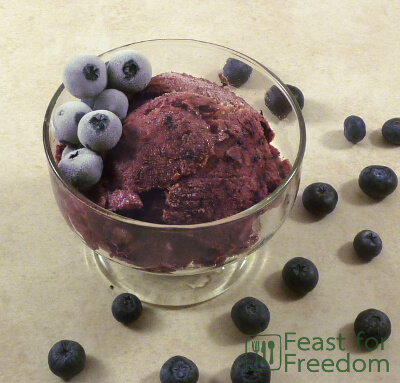 Blueberry and banana sorbet in a little dish