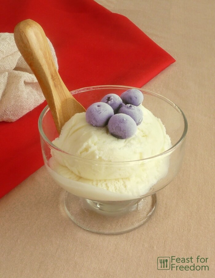 Vanilla ice cream in a dish topped with frozen blueberries